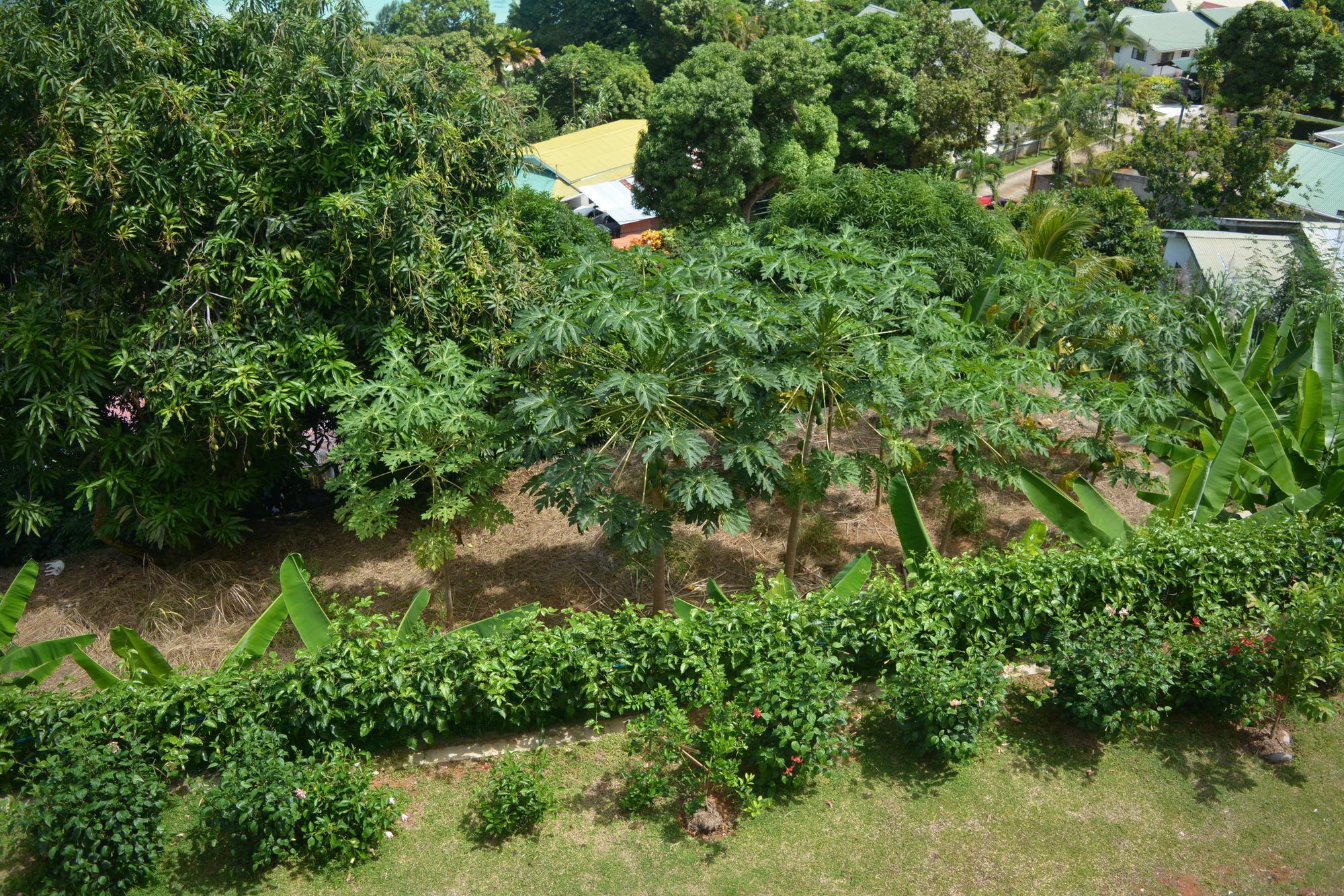 Manfiyo Guest House Anse Boileau Luaran gambar